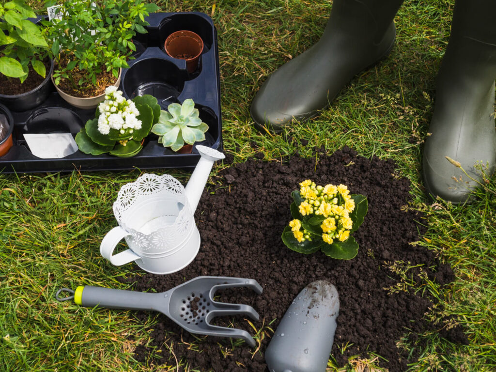 What Sets Experienced Landscape Contractors in Las Vegas Apart From the Rest