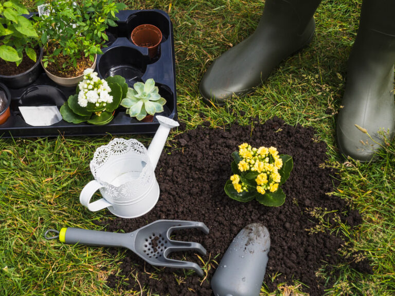 What Sets Experienced Landscape Contractors in Las Vegas Apart From the Rest